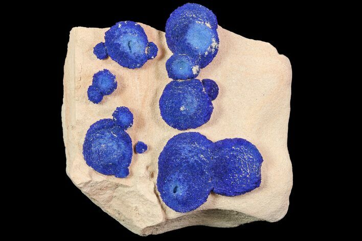Brilliant Blue Azurite Sun Cluster On Rock - Australia #77628